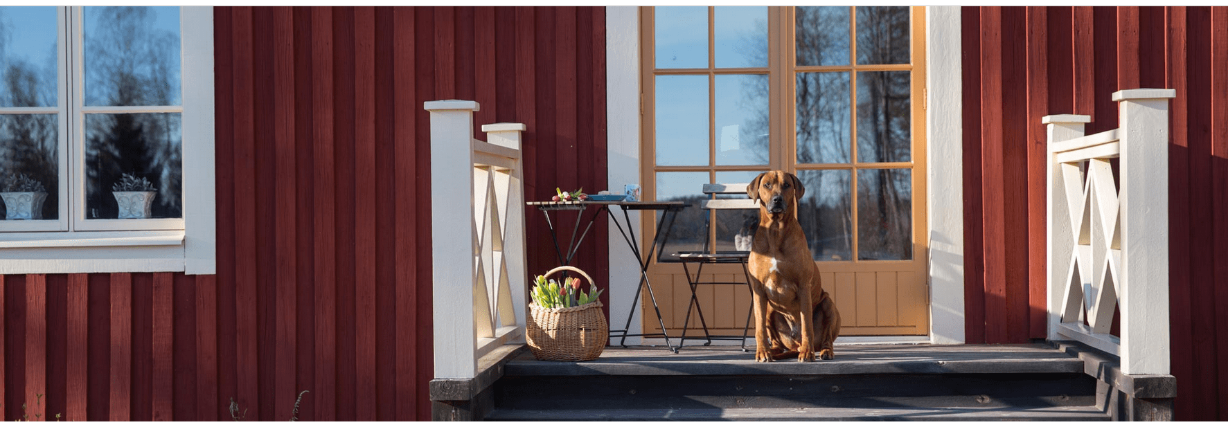 Auson_Roedtjaera_Haus_Hund