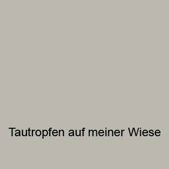 tautropfen_auf_meiner_wiese
