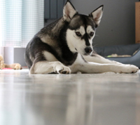 Bodenfarbe_beide_1g5IUxgmxKKZEz