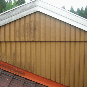 fassadenreiniger_bild Fassadenreiniger _"Fasadtvätt_ ECO" _(Konzentrat)