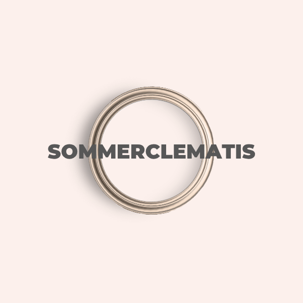 20_innenfarben_sommerclematis.png