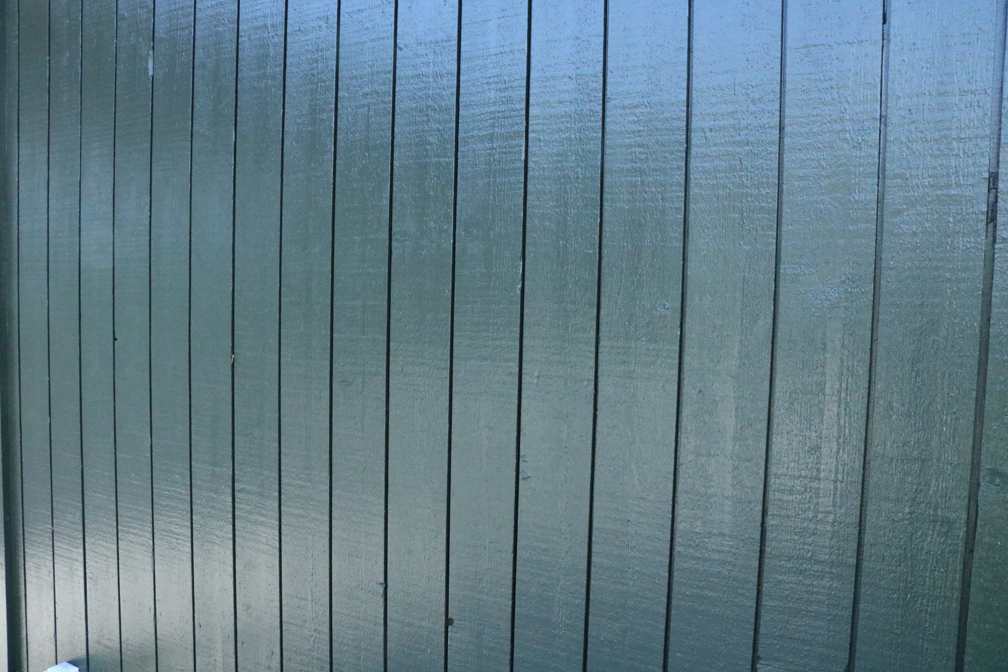 Acrylat_Holzwand_Gruen