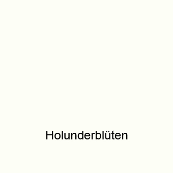 Holunderblueten
