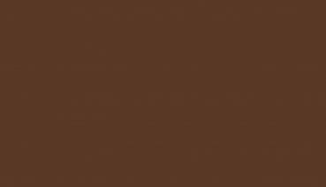 SONDERPOSTEN Tür- und Fensterfarbe 2,7 l RAL 8011 Nussbraun