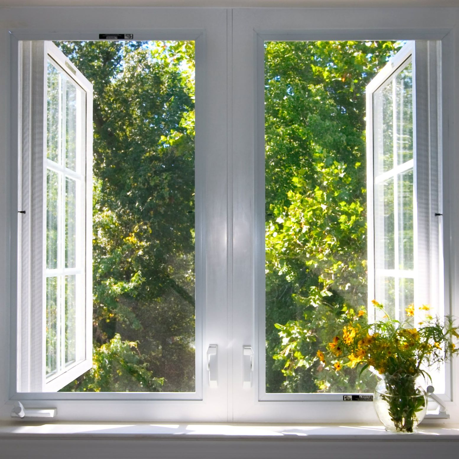 Colorex_Tuer_Fensterfarbe_weiss_geoeffnettes_Fenster Colorex_Tuer_Fensterfarbe_weiss_geoeffnettes_Fenster