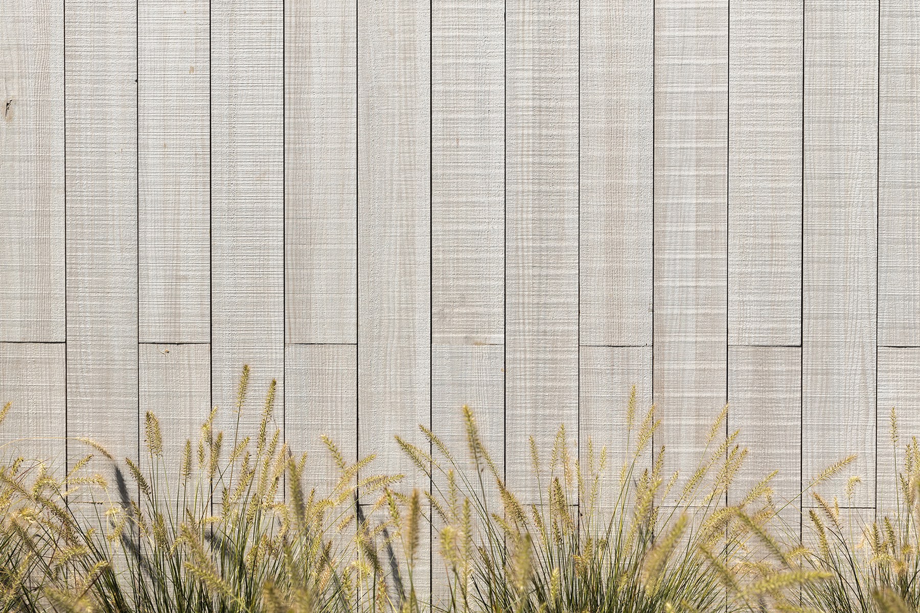 Sioox_auf_rauer_Fassade_mit_Graesern.jpg