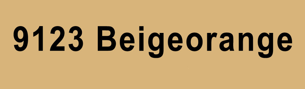  9123 (beigeorange)
