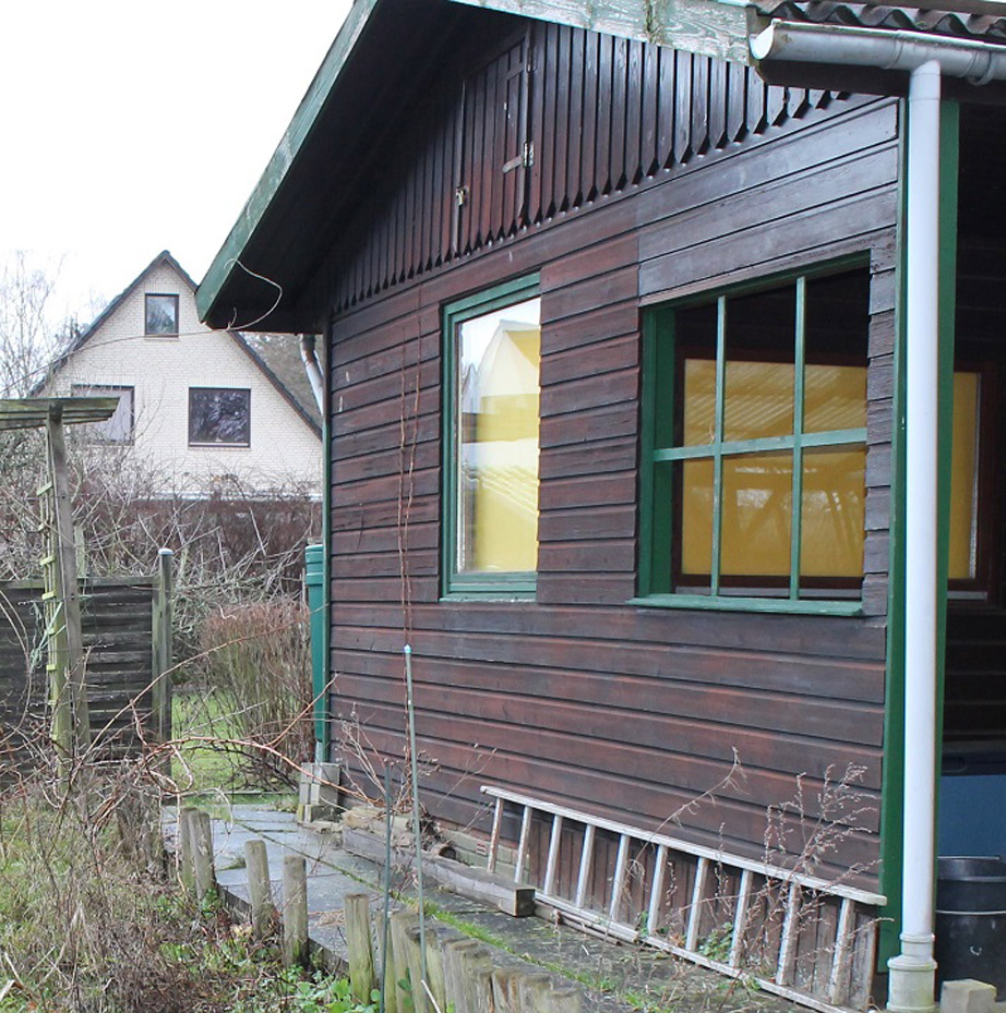 laube_vorher laube_vorher